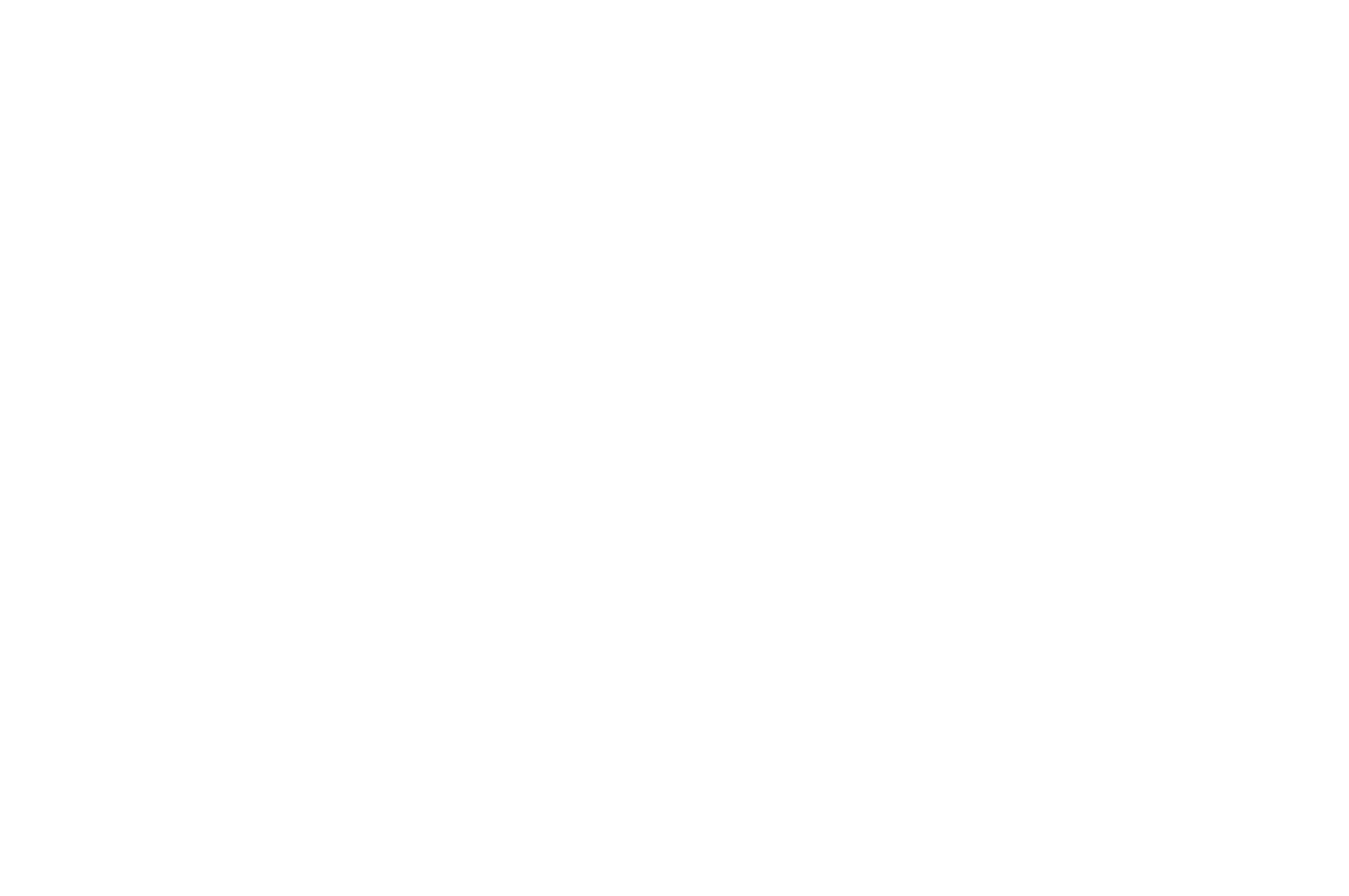 Official Selection – Hollywood International Indie Film Screenplay Awards 2025